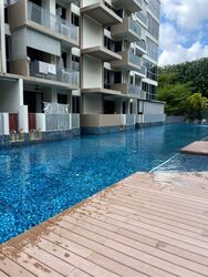 Palm Isles (D17), Condominium #590317181